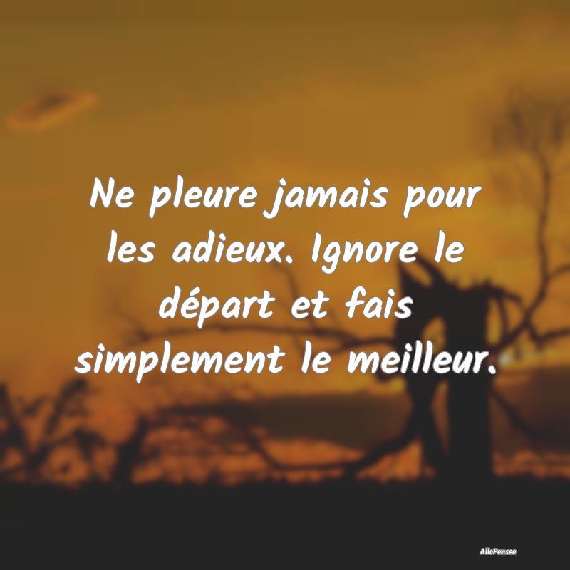 Ne pleure jamais pour les adieux. Ignore le départ et fais simplement le meilleur.