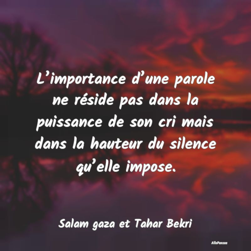 L’importance d’une parole ne réside pas dans la puissance de son cri mais dans la hauteur du silence qu’elle impose.