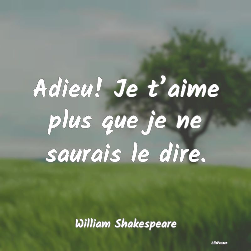 Adieu! Je t’aime plus que je ne saurais le dire.