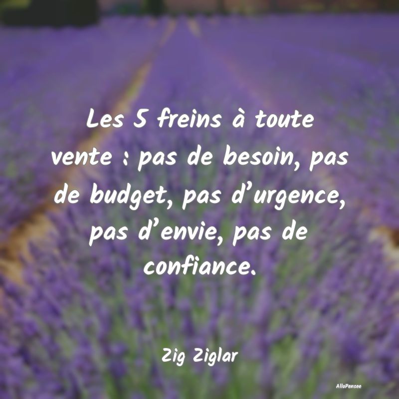 Les 5 freins à toute vente : pas de besoin, pas de budget, pas d’urgence, pas d’envie, pas de confiance.