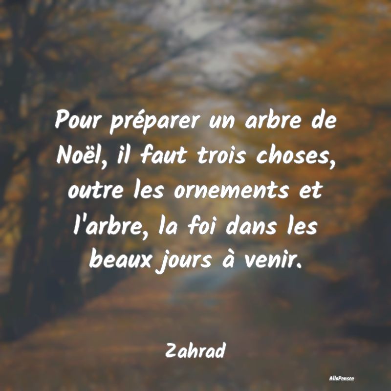 Pour préparer un arbre de Noël, il faut trois choses, outre les ornements et l