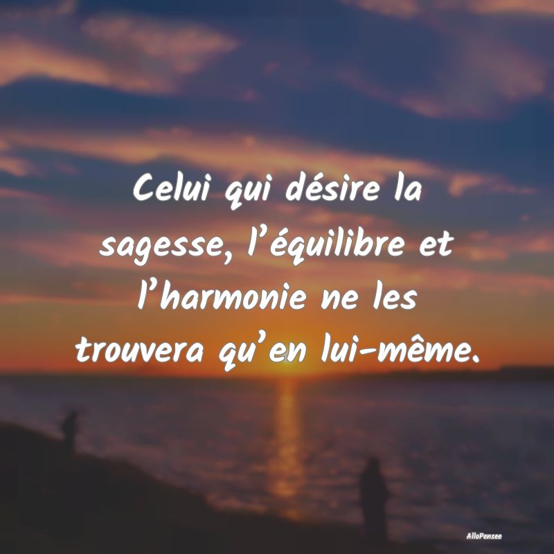 Celui qui désire la sagesse, l’équilibre et l’harmonie ne les trouvera qu’en lui-même.