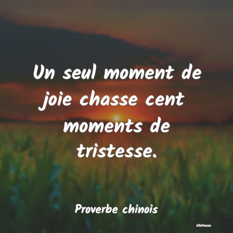 Un seul moment de joie chasse cent moments de tristesse.
