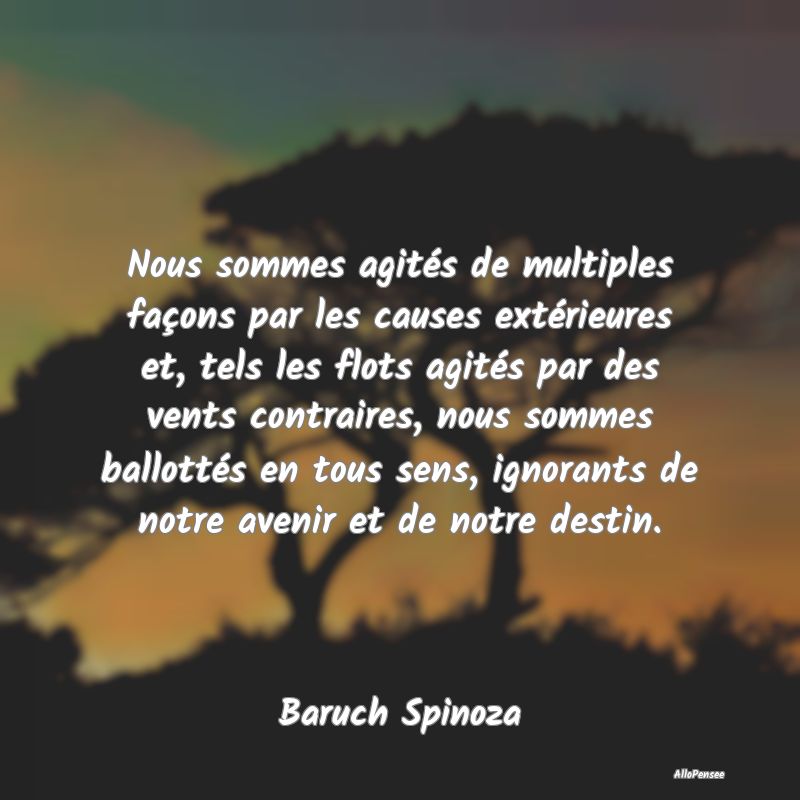 Nous sommes agités de multiples façons par les causes extérieures et, tels les flots agités par des vents contraires, nous sommes ballottés en tous sens, ignorants de notre avenir et de notre destin.