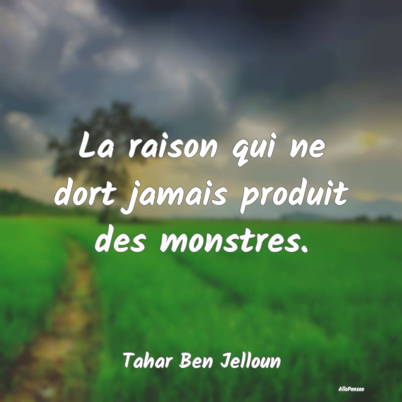 La raison qui ne dort jamais produit des monstres.