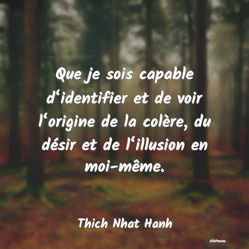 Que je sois capable d‘identifier et de voir l‘origine de la colère, du désir et de l‘illusion en moi-même.