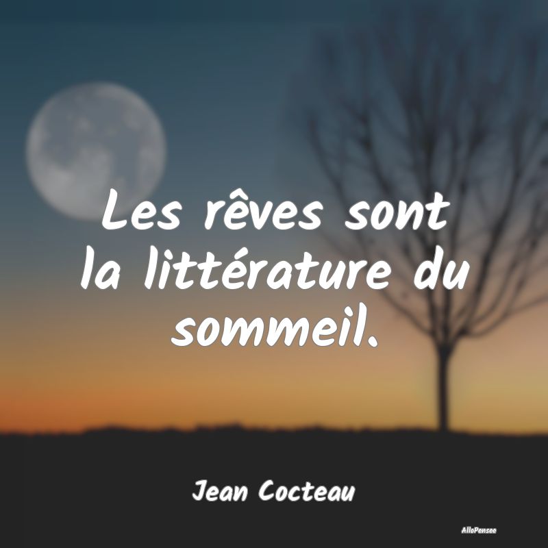 Les rêves sont la littérature du sommeil.