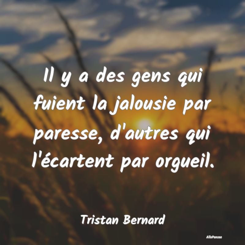 Il y a des gens qui fuient la jalousie par paresse, d