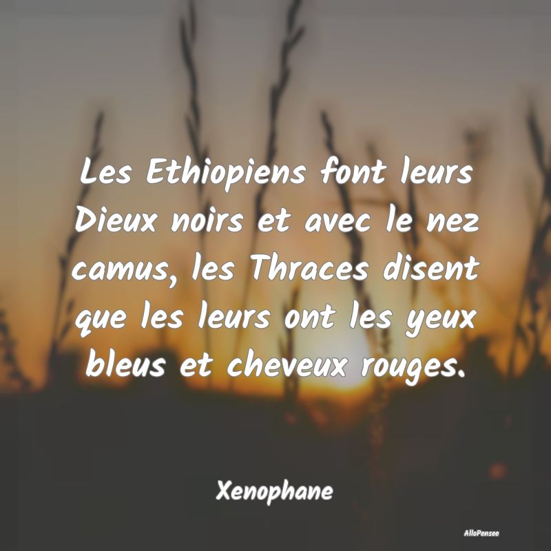 Les Ethiopiens font leurs Dieux noirs et avec le nez camus, les Thraces disent que les leurs ont les yeux bleus et cheveux rouges.