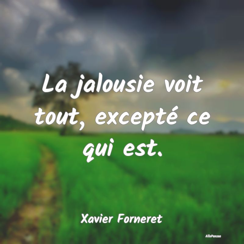 La jalousie voit tout, excepté ce qui est.