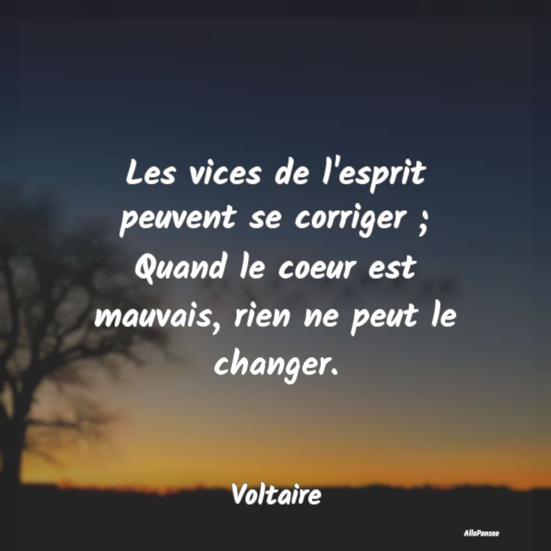 Les vices de l