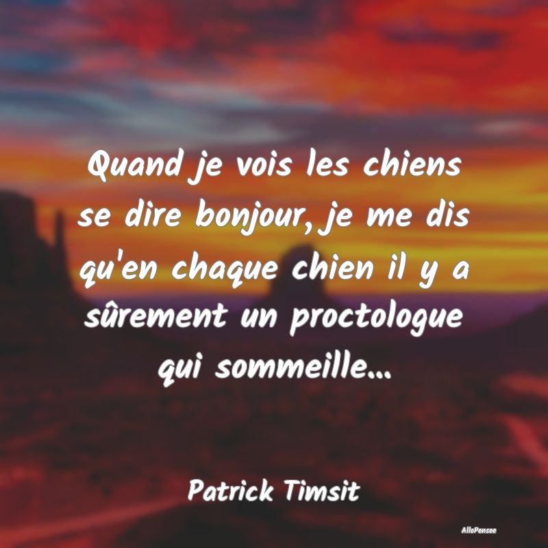 Quand je vois les chiens se dire bonjour, je me dis qu