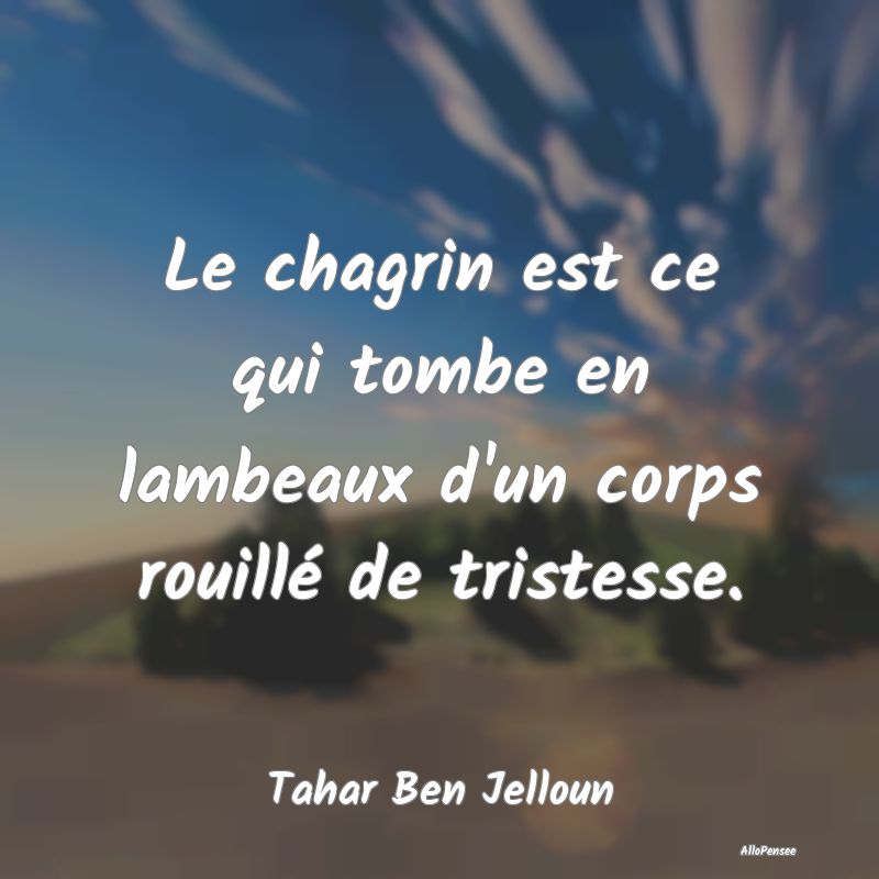 Le chagrin est ce qui tombe en lambeaux d