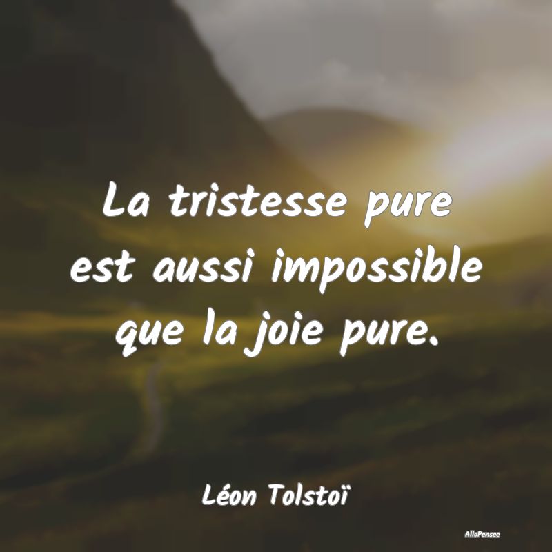 La tristesse pure est aussi impossible que la joie pure.