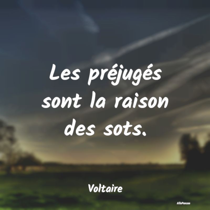 Les préjugés sont la raison des sots.