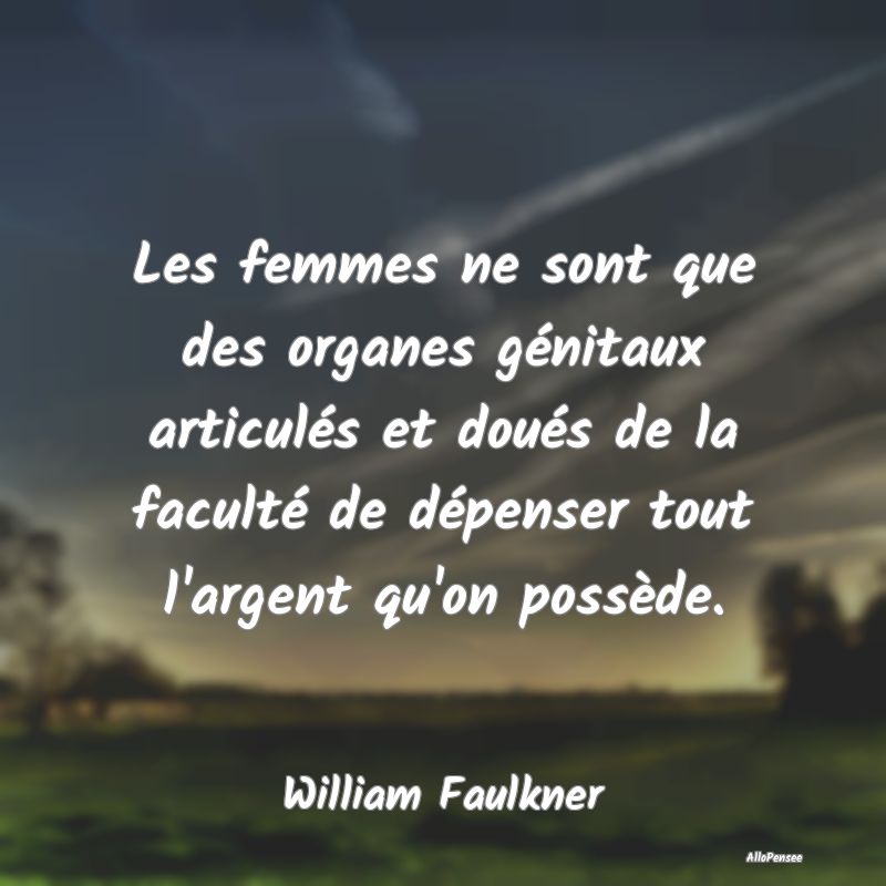 Les femmes ne sont que des organes génitaux articulés et doués de la faculté de dépenser tout l